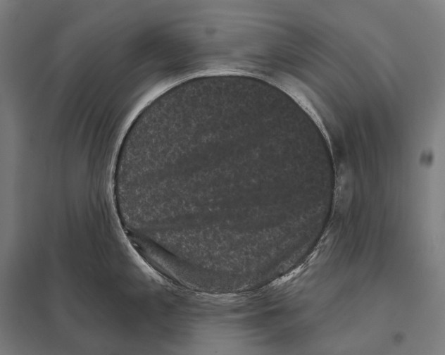 X0000097631197200803281052
