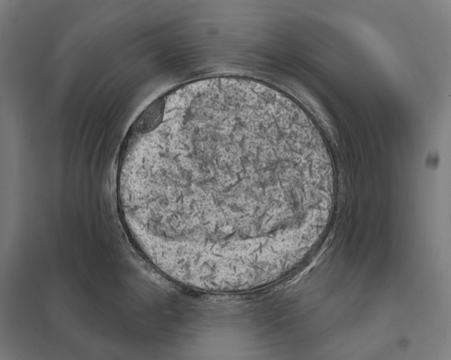 X0000097631198200803281052