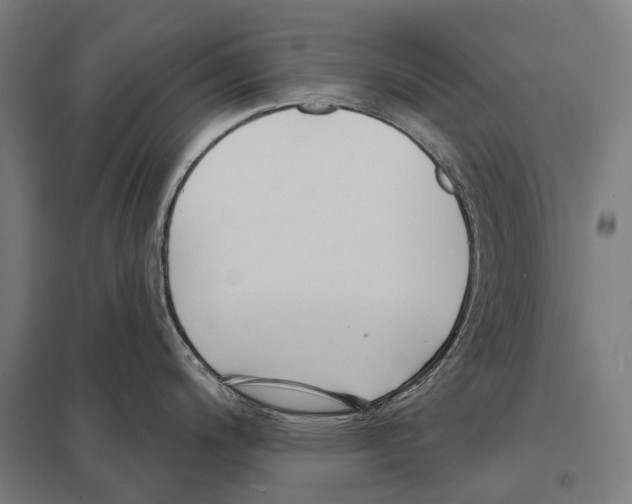 X0000097631200200803281052