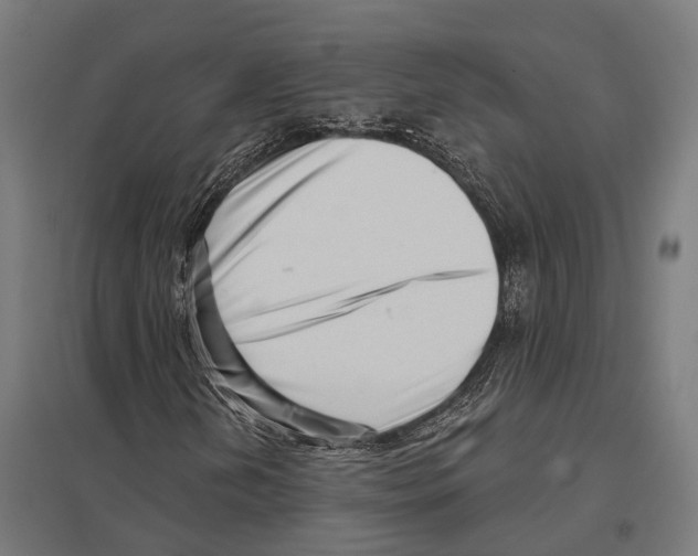 X0000097631202200803281052