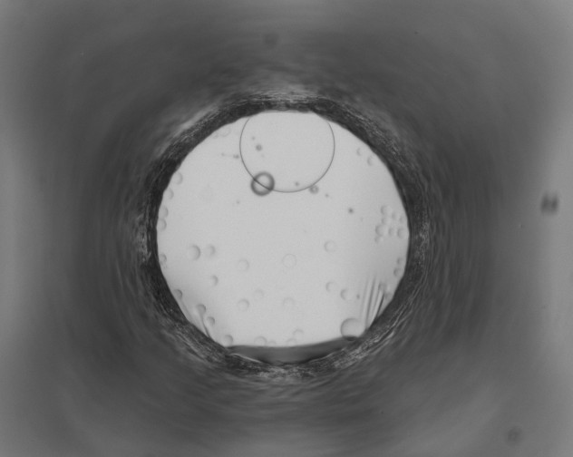 X0000097631205200803281052