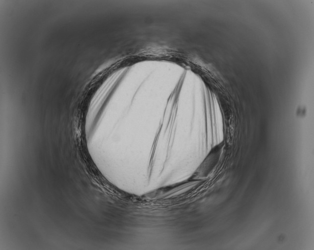 X0000097631206200803281052