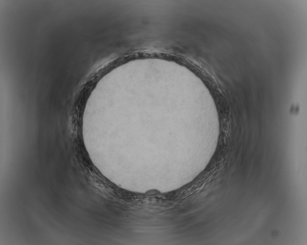 X0000097631207200803281052