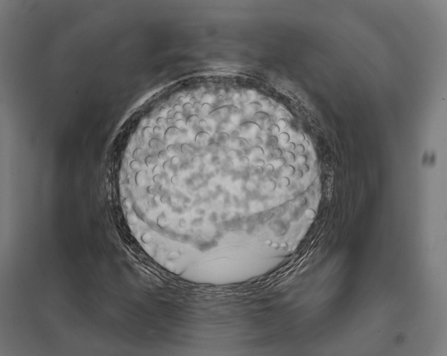 X0000097631208200803281052