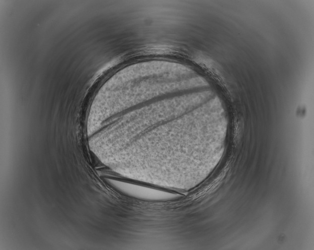 X0000097631210200803281052