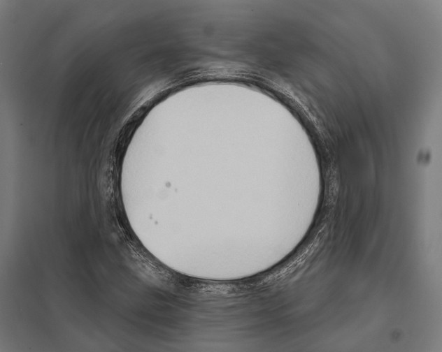 X0000097631211200803281052