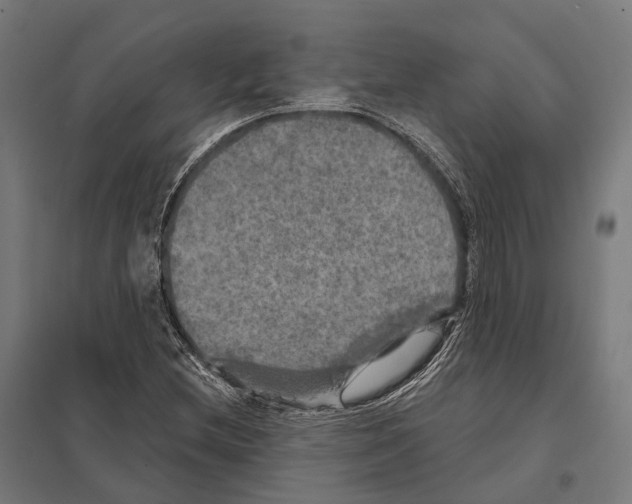 X0000097631212200803281052