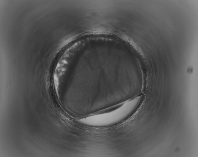 X0000097631213200803281052