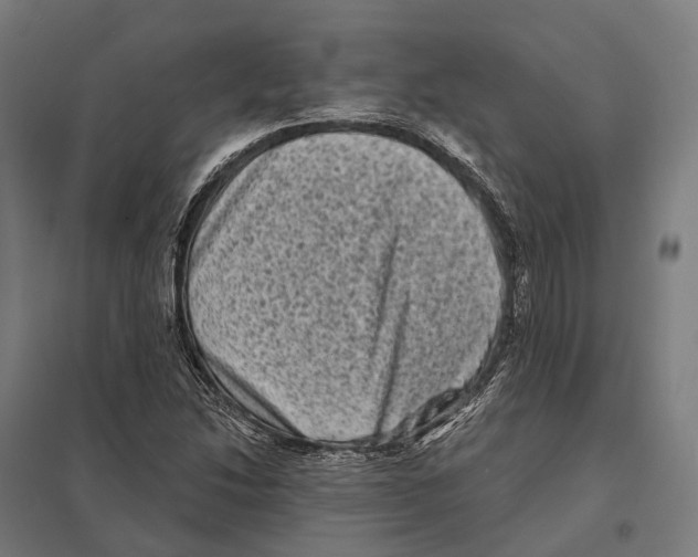 X0000097631214200803281052