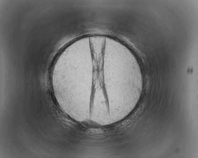 X0000097631215200803281052