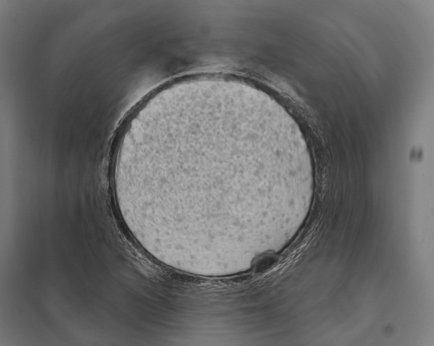 X0000097631216200803281052