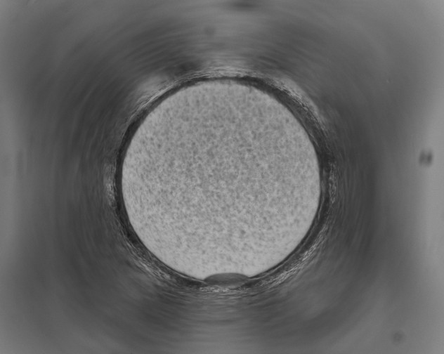 X0000097631217200803281052