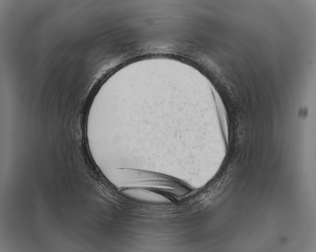 X0000097631218200803281052