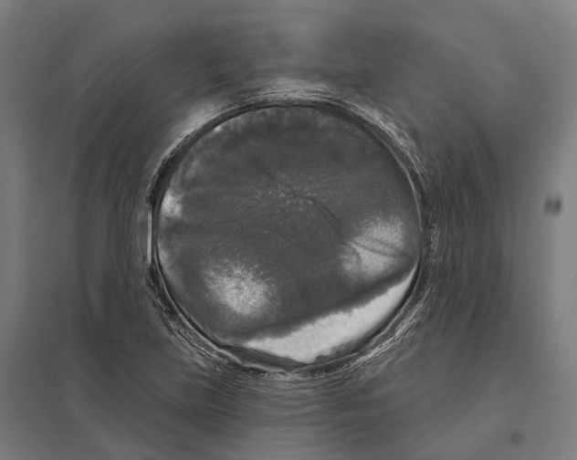 X0000097631219200803281052