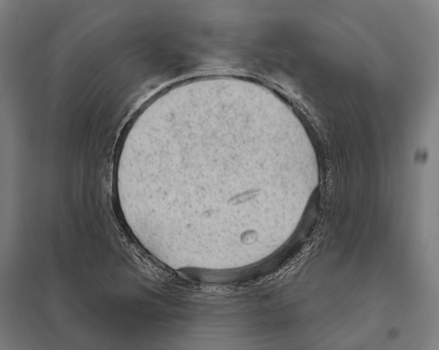 X0000097631220200803281052