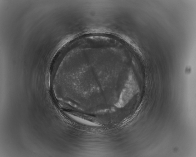 X0000097631221200803281052