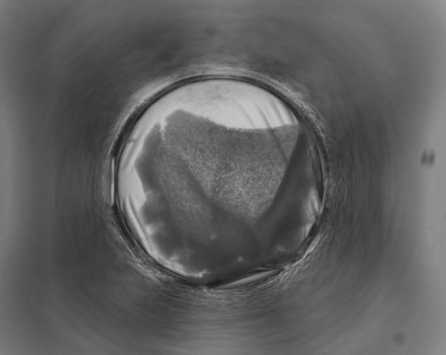 X0000097631223200803281052