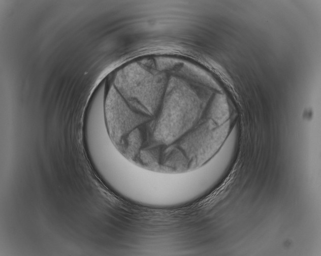 X0000097631226200803281052