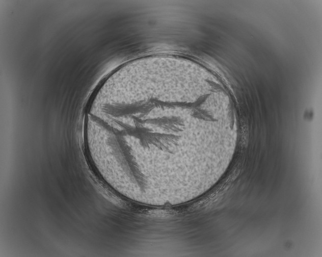 X0000097631227200803281052