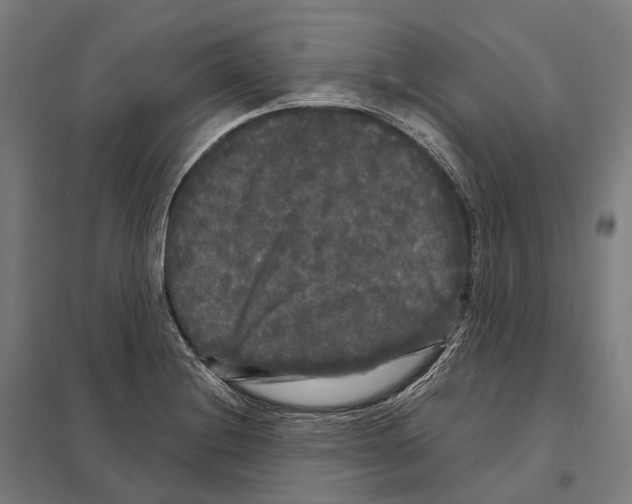 X0000097631228200803281052
