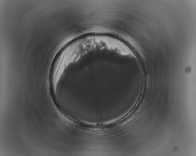 X0000097631229200803281052