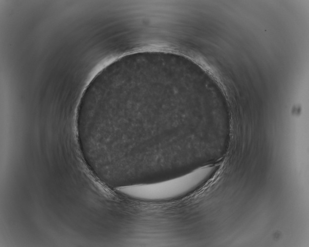 X0000097631230200803281052