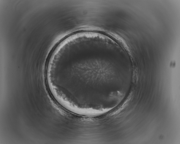X0000097631231200803281052