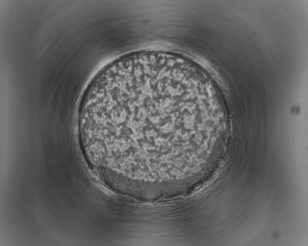 X0000097631232200803281052