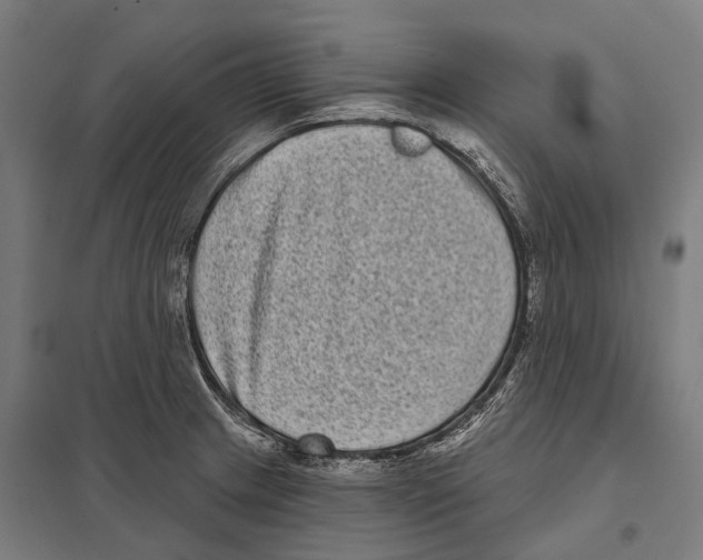 X0000097631233200803281052