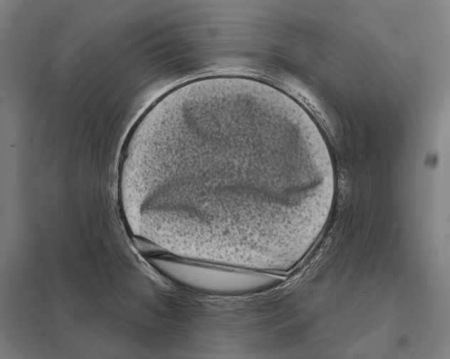 X0000097631236200803281052