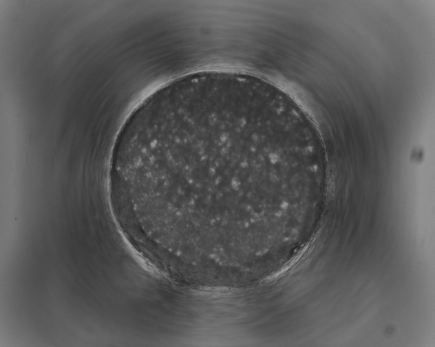 X0000097631237200803281052