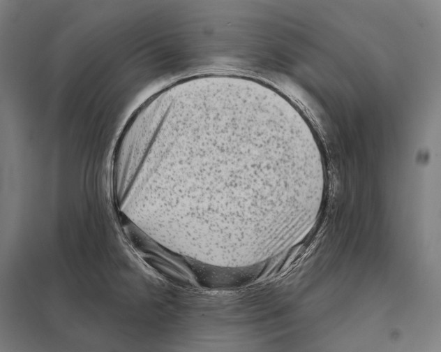 X0000097631238200803281052