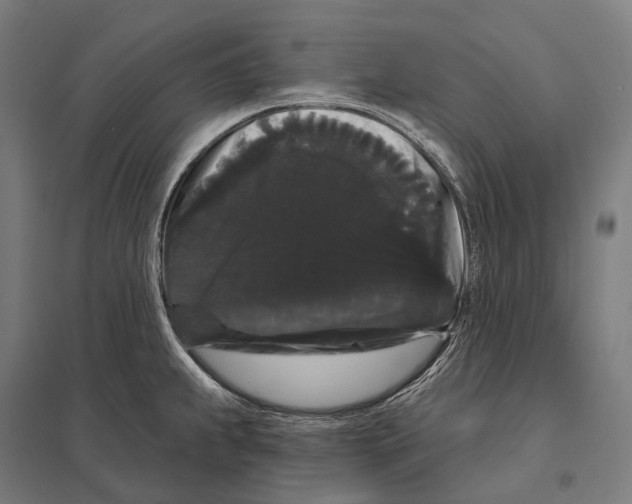 X0000097631239200803281052