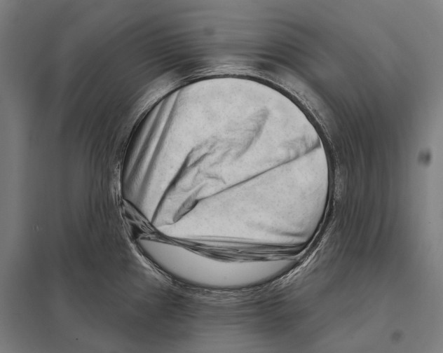 X0000097631241200803281052