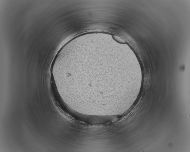 X0000097631242200803281052