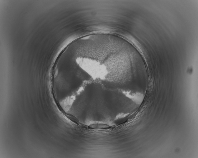 X0000097631243200803281052