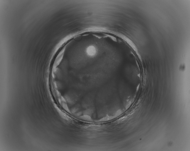 X0000097631245200803281052