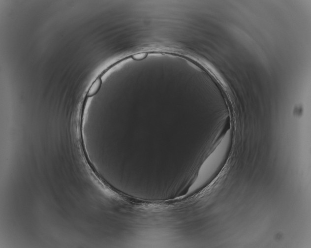 X0000097631246200803281052