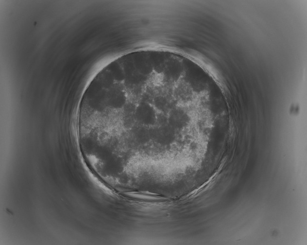 X0000097631247200803281052