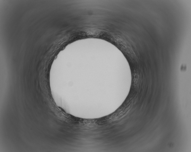 X0000097631249200803281051