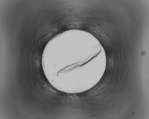 X0000097631250200803281051