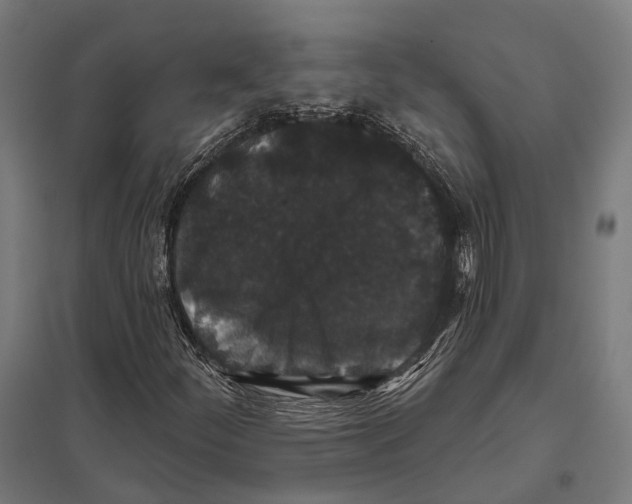 X0000097631252200803281051