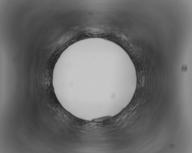 X0000097631253200803281051