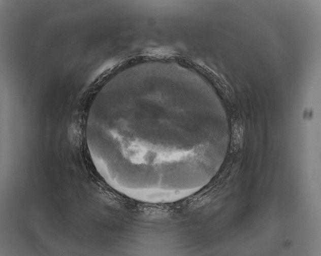 X0000097631254200803281051