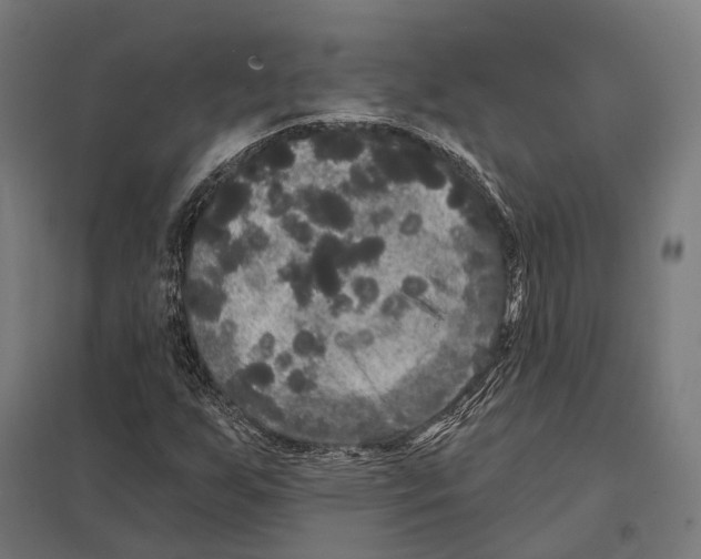X0000097631255200803281051
