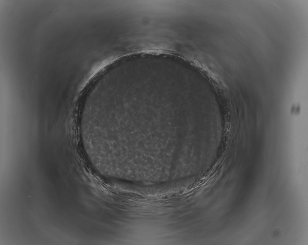 X0000097631256200803281051