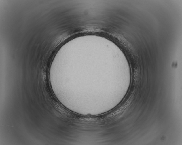 X0000097631257200803281051