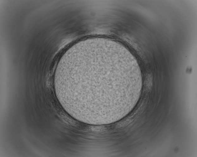 X0000097631258200803281051