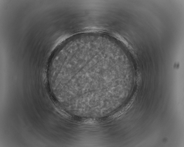 X0000097631259200803281051