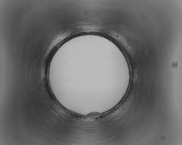 X0000097631261200803281051